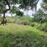  Land for sale in Suaza Huila, Suaza
