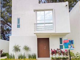 3 Schlafzimmer Appartement zu verkaufen in Zapopan, Jalisco, Zapopan