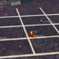  Terreno (Parcela) en venta en Yaxkukul, Yucatán, Yaxkukul