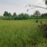  Land for sale in Chame, Panama Oeste, Nueva Gorgona, Chame