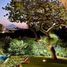 7 Bedroom House for sale in Huitzilac, Morelos, Huitzilac