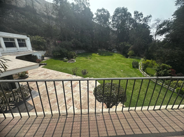 8 Bedroom House for sale in Lima, La Molina, Lima, Lima