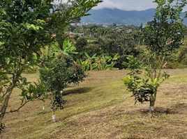  Land for sale in Pereira, Risaralda, Pereira