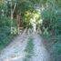  Land for sale in Sudzal, Yucatan, Sudzal