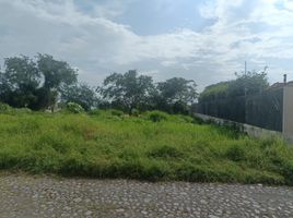  Land for sale in Colima, Colima, Colima