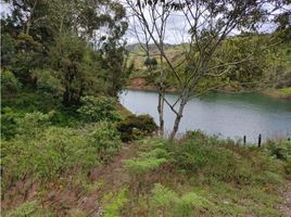  Land for sale in Penol, Antioquia, Penol