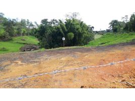  Terreno (Parcela) en venta en El Carmen De Viboral, Antioquia, El Carmen De Viboral