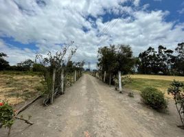  Terreno (Parcela) en venta en Mejía, Pichincha, Aloasi, Mejía