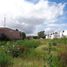  Land for rent in Queretaro, Queretaro, Queretaro