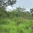 Terrain à vendre à Dzidzantun, Yucatan, Dzidzantun