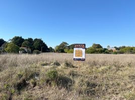  Land for sale in Buenos Aires, General Alvarado, Buenos Aires