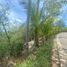  Land for sale in Jose Azueta, Guerrero, Jose Azueta, Guerrero