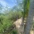  Land for sale in Jose Azueta, Guerrero, Jose Azueta, Guerrero