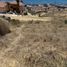  Land for sale in Tijuana, Baja California, Tijuana