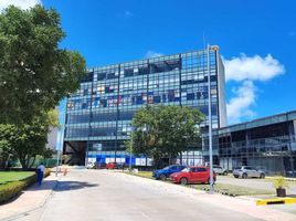 97.86 平米 Office for rent in Campeche, Carmen, Campeche