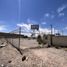  Land for rent in Juarez, Chihuahua, Juarez, Chihuahua