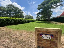  Land for sale in Cordoba, Monteria, Cordoba