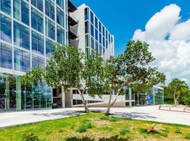 336 제곱미터입니다 Office for sale in 코즈멜, Quintana Roo, 코즈멜