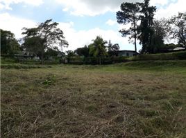  Terreno (Parcela) en venta en Barrio Colón, La Chorrera, Barrio Colón