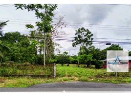  Grundstück zu vermieten in Bugaba, Chiriqui, La Concepcion, Bugaba