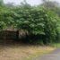  Land for sale in Santa Marianita Boca De Pacoche, Manabi, Santa Marianita Boca De Pacoche, Manta
