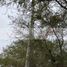  Land for sale in Montemorelos, Nuevo Leon, Montemorelos