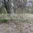  Land for sale in Montemorelos, Nuevo Leon, Montemorelos