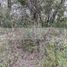  Land for sale in Montemorelos, Nuevo Leon, Montemorelos