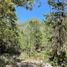 Land for sale in Iturbide, Nuevo Leon, Iturbide