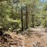  Land for sale in Iturbide, Nuevo Leon, Iturbide