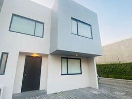 Maison 3 chambre à louer à Toluca, Mexico, Toluca