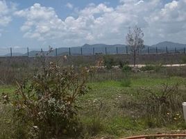  Terreno (Parcela) en venta en Corregidora, Querétaro, Corregidora