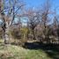  Land for sale in Chubut, Cushamen, Chubut