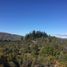  Land for sale in Futaleufu, Chubut, Futaleufu, Chubut