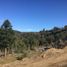  Land for sale in Futaleufu, Chubut, Futaleufu, Chubut
