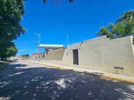0 m² Office for rent in Campeche, Carmen, Campeche