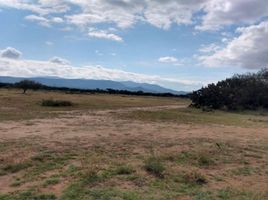  Grundstück zu verkaufen in Villa De Reyes, San Luis Potosi, Villa De Reyes