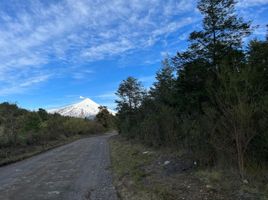  Grundstück zu verkaufen in Cautin, Araucania, Pucon