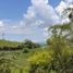  Land for sale in Santa Rosa De Cabal, Risaralda, Santa Rosa De Cabal