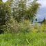  Land for sale in Santa Rosa De Cabal, Risaralda, Santa Rosa De Cabal