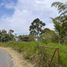  Land for sale in Santa Rosa De Cabal, Risaralda, Santa Rosa De Cabal