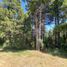  Land for sale in Rio Negro, Bariloche, Rio Negro