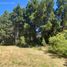  Land for sale in Rio Negro, Bariloche, Rio Negro