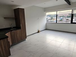1 Schlafzimmer Appartement zu vermieten in Miguel Hidalgo, Mexico City, Miguel Hidalgo