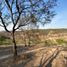  Land for sale in Morelia, Michoacan, Morelia, Michoacan