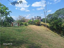  Land for sale in Quindio, Armenia, Quindio