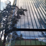 433.29 m² Office for rent in Miguel Hidalgo, Ciudad de México, Miguel Hidalgo