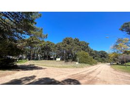 在Pinamar, Buenos Aires出售的 土地, Pinamar