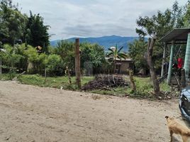  Grundstück zu verkaufen in Joquicingo, Mexico, Joquicingo