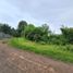  Land for sale in Patzcuaro, Michoacan, Patzcuaro